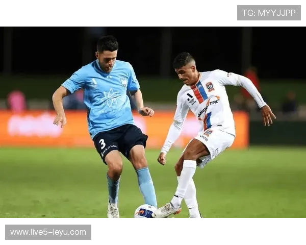 悉尼FC宣布新签约,实力补强阵容迎战新赛季