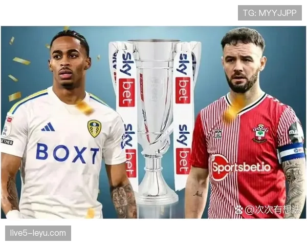 南安普顿迎新帅掌舵,剑指重返英超辉煌 南安普顿迎新帅掌舵,剑指重返英超辉煌