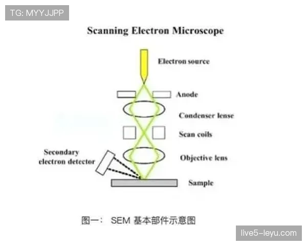 斯特林技术突破助力清洁能源革命，高效热能转换加速可持续发展
